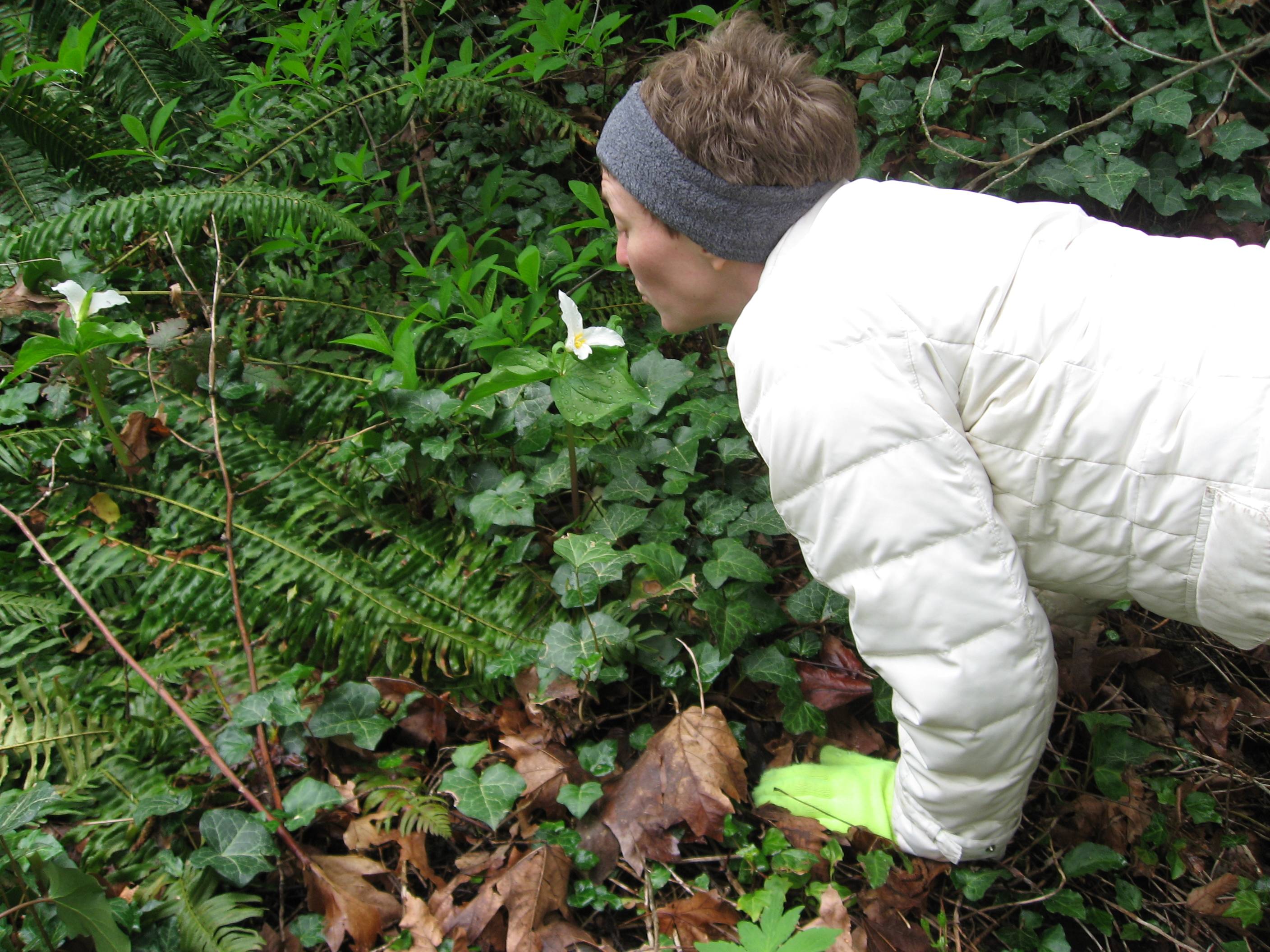 Shelley and Trillium