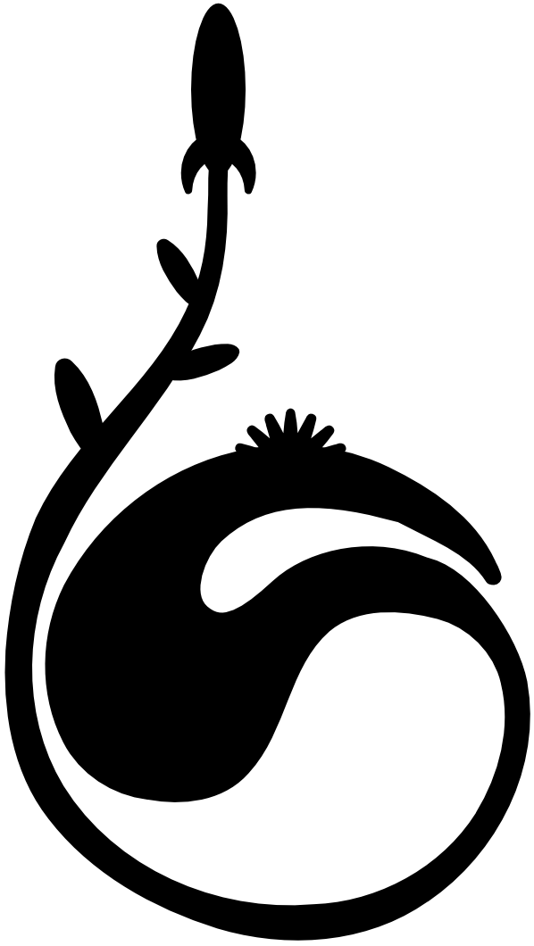 400px