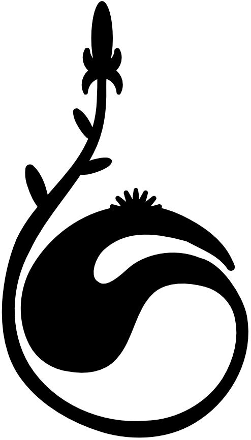 400px