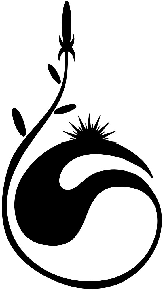 400px