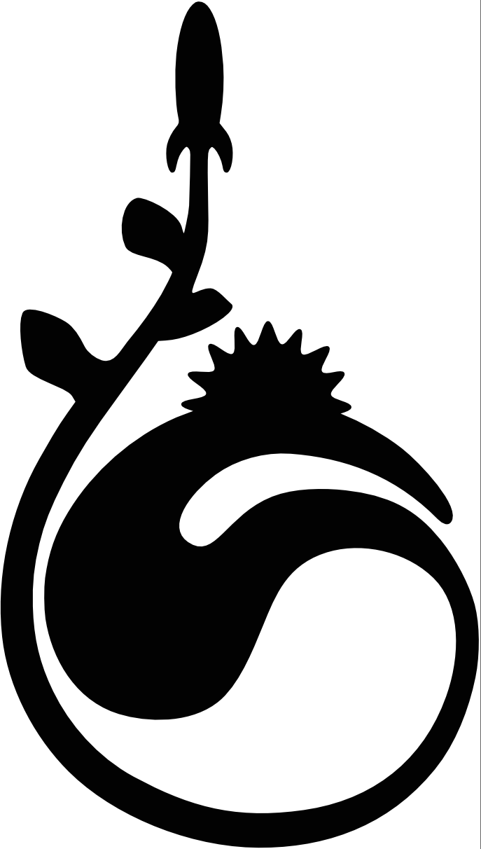 400px