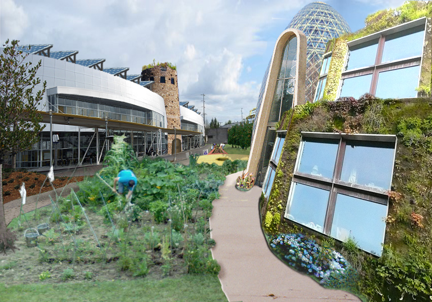 SolSeed Village visualization 1.jpg