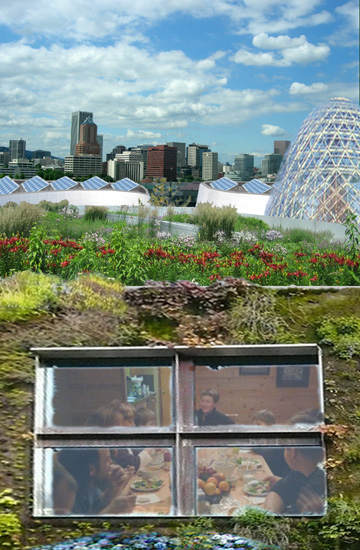 SolSeed Village visualization 2.1.jpg