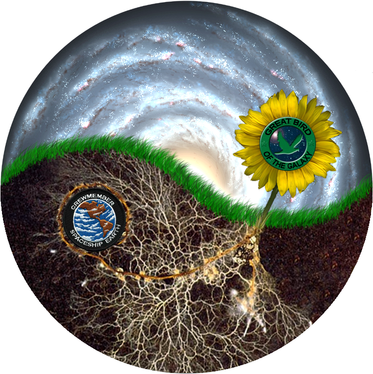 SolSeed root and flower.png