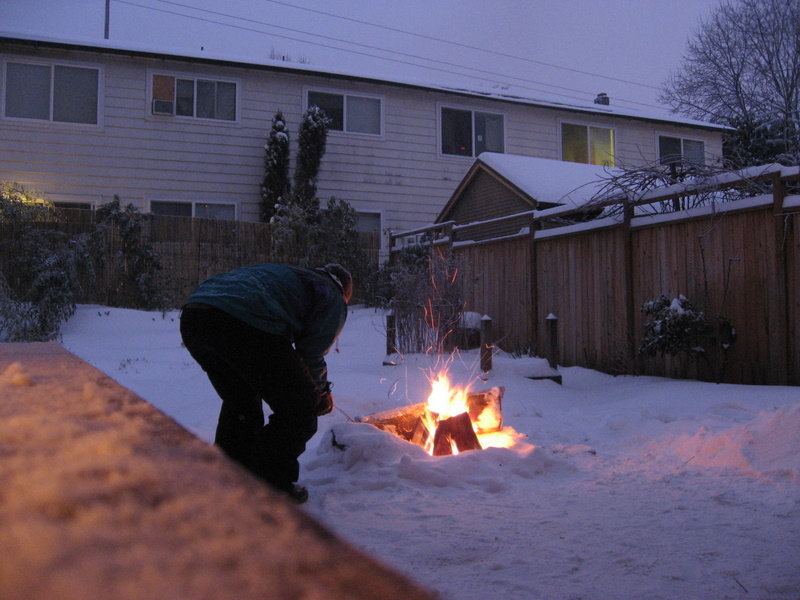 Yule log 2008